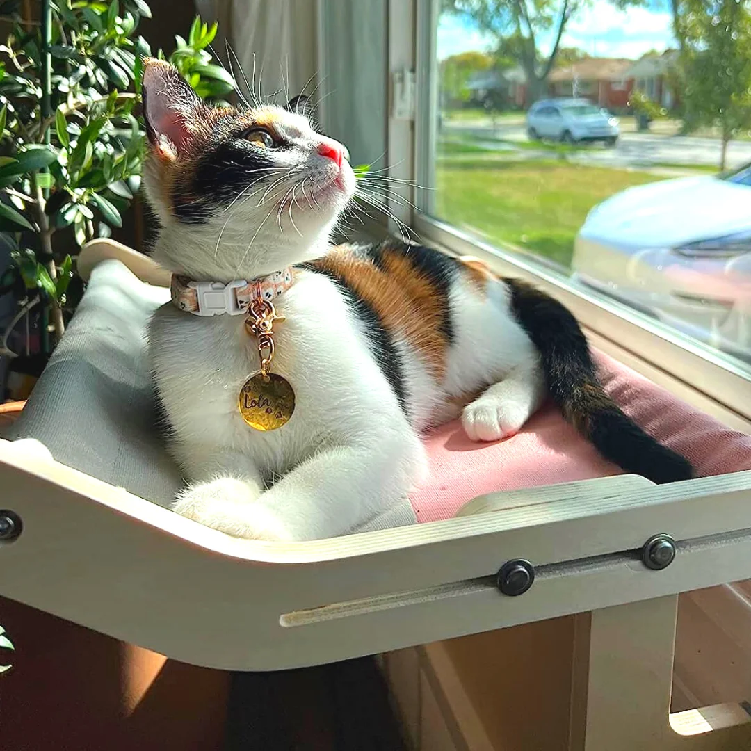 ZENCATIA™ - MULTIFUNCTIONAL CAT HAMMOCK PERCH